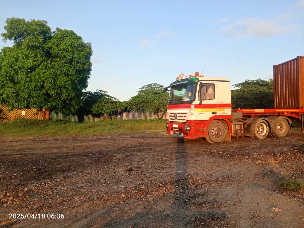 Ubia safari in action